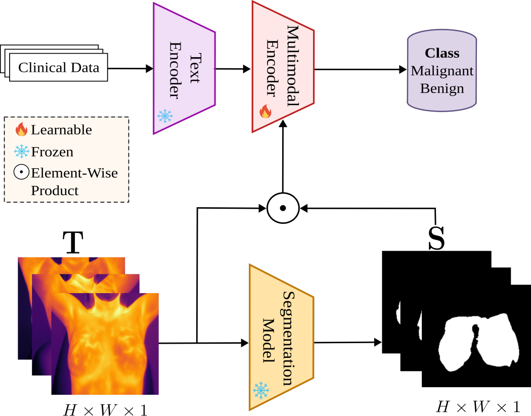 Multimodal Vision-Language Transformer for Thermography Breast Cancer Classification